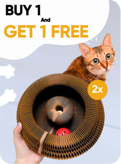 Bundle Option Image