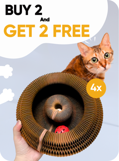 Bundle Option Image